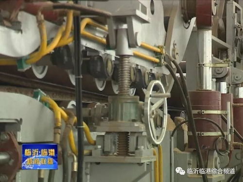 臨港這家企業(yè)手握 國內(nèi)第一 ,還在海外建起了工廠